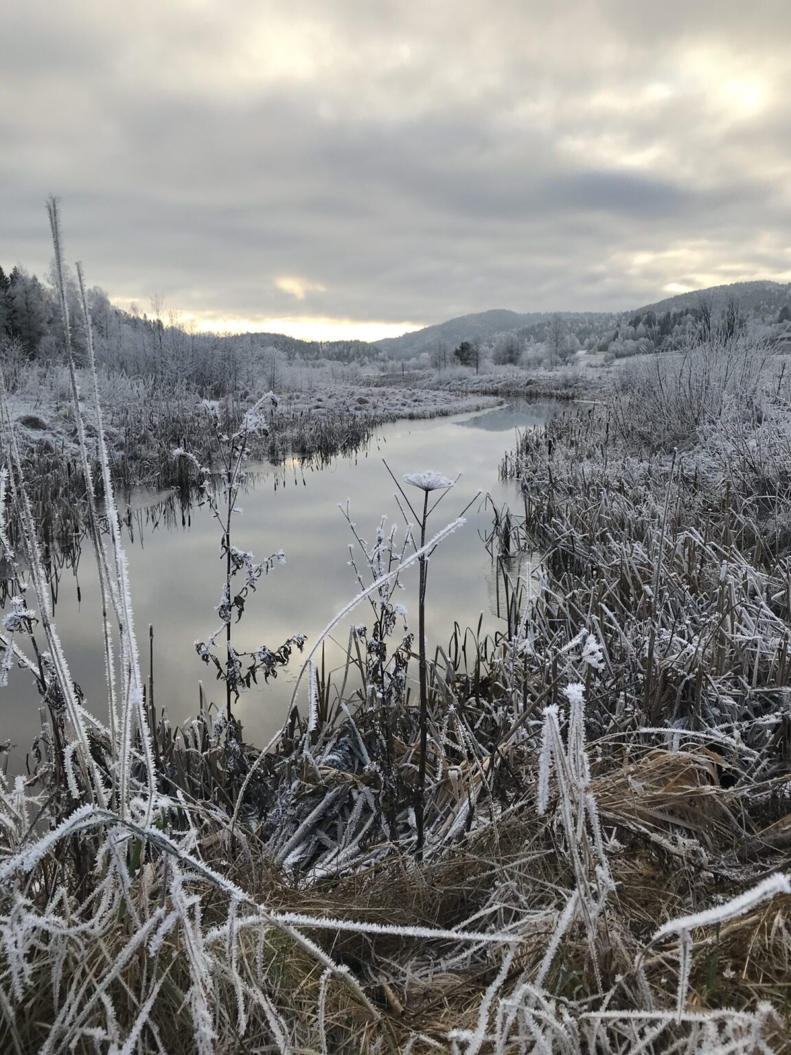 Naturen i Losby-dalen om vinteren